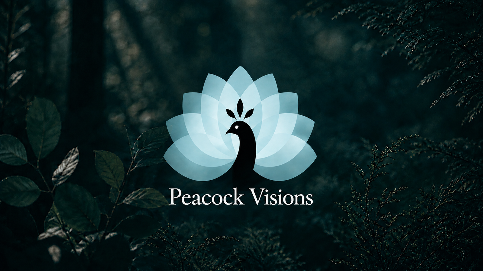 Peacock Visions brand identity, logo lockup